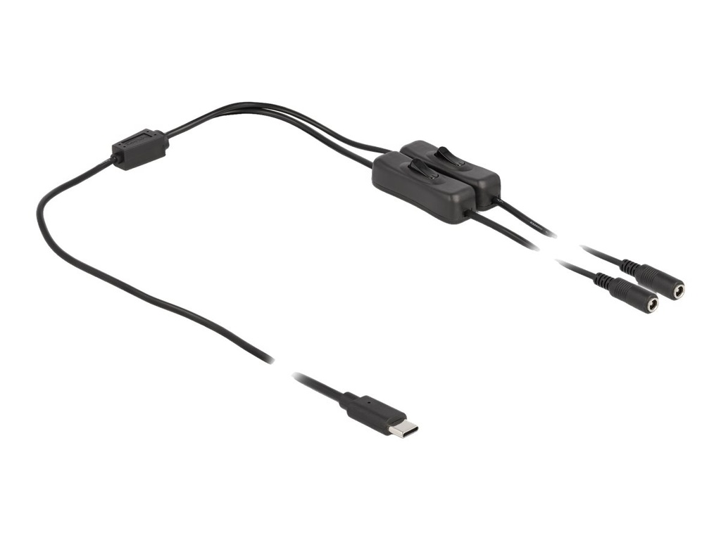 Delock Netz-Splitter - USB-C (M) zu Gleichstromstecker 5,5 x 2,1 mm (W)