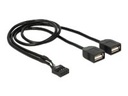 Delock Interner und externer USB-Adapter - 10-poliger USB-Header (W)