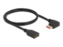 Delock DisplayPort-Verlängerungskabel - DisplayPort (M)