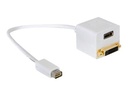 Delock Videoadapter - Mini-DVI männlich zu
