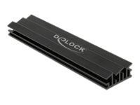 [18284] Delock Solid State Drive Kühlkörper - Schwarz
