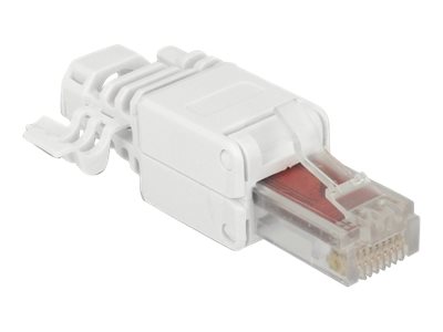 Delock Netzwerkanschluss - RJ-45 (M) - UTP - CAT 6 - (Anzahl pro Packung: 2)