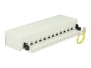 Delock Patch Panel - CAT 6 - RJ-45 X 12 - Hellgrau