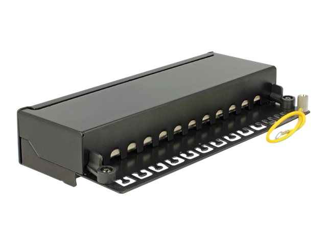 Delock Patch Panel - CAT 6 - RJ-45 X 12 - Jet