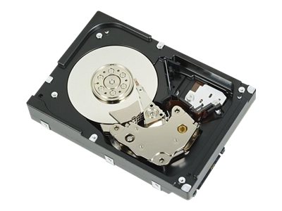 Dell  Festplatte - 1 TB - intern - 3.5" (8.9 cm)