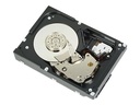 Dell Nearline - Festplatte - 2 TB - intern - 3.5" (8.9 cm)