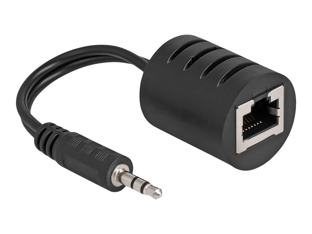Delock Audio-Adapter - RJ-45 weiblich zu Mini-Stecker männlich - Schwarz (Packung mit 2)