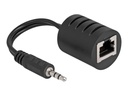 Delock Audio-Adapter - RJ-45 weiblich zu Mini-Stecker männlich - Schwarz (Packung mit 2)