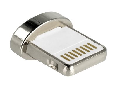 Delock Lightning Adapter - Anschluss (magnetisch)