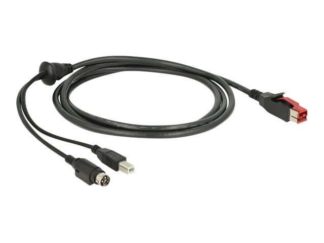 Delock Powered USB-Kabel - USB PlusPower (24 V)