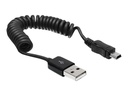 Delock USB-Kabel - USB (M) zu Mini-USB, Typ B (M)