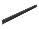 Delock Kabelabdeckung mit Bürsten - Rack montierbar - Schwarz - 1U - 48.3 cm (19")
