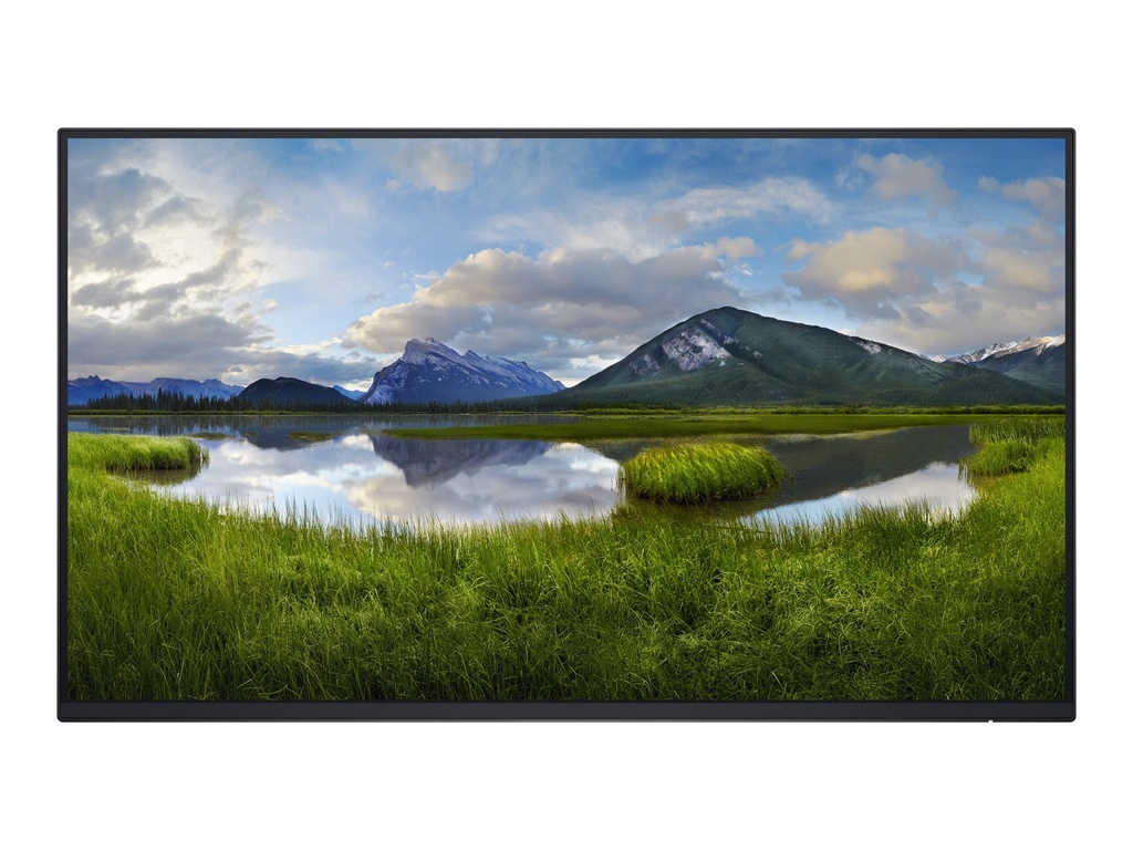 Dell P2425H - LED-Monitor - 61 cm (24") (23.81" sichtbar)