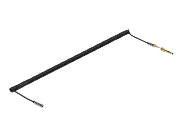 Delock Audio-Kabelkit - Schwarz - gewickelt