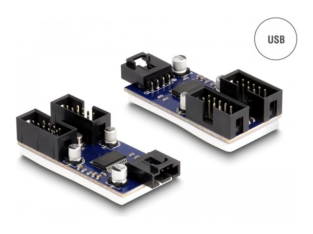 Delock USB-Adapter - USB 2.0 x 2