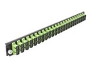Delock Rack-Montageblech für Glasfaser-Spleißbox - Vorderseite - SC MM X 24 - hellgrün - 1U - 48.3 cm (19")