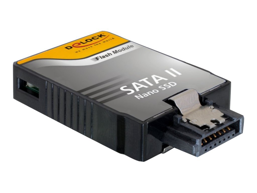 Delock Nano - SSD - 64 GB - intern - SATA 3Gb/s