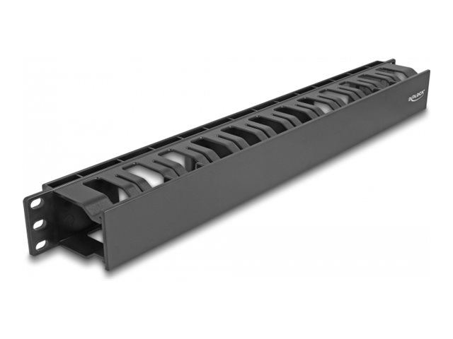 Delock Kabelführungsplatte für Schaltschrank - mit 2 Öffnungen, Kunststoff - Schwarz - 1U - 48.3 cm (19")