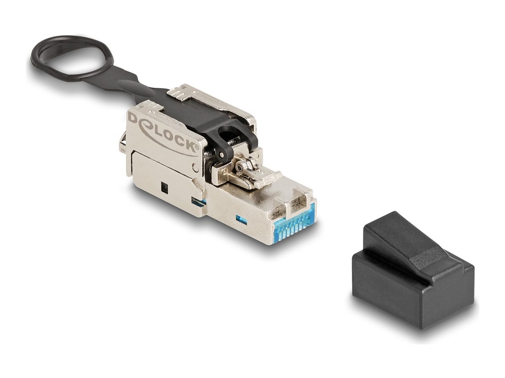 Delock Netzwerkanschluss - Field Term RJ45 (M)