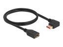 Delock DisplayPort-Verlängerungskabel - DisplayPort (M)