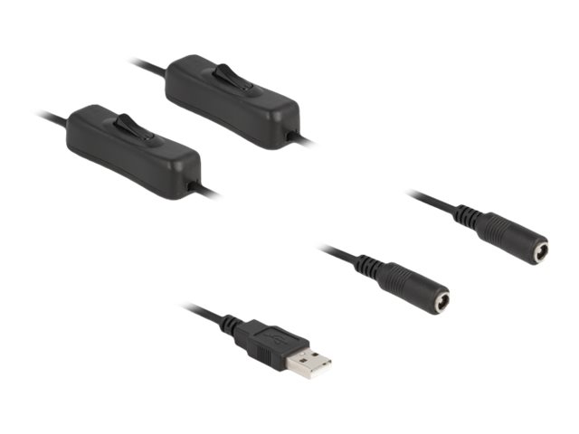 Delock Netz-Splitter - USB (M) zu Gleichstromstecker 5,5 x 2,1 mm (W)
