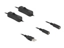 Delock Netz-Splitter - USB (M) zu Gleichstromstecker 5,5 x 2,1 mm (W)
