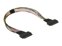 Delock Internes SAS-Kabel - U.2 (SFF-8639) (W)