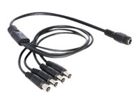 Delock Netz-Splitter - Gleichstromstecker 5,5 x 2,1 mm (M)