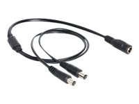 Delock Netz-Splitter - Gleichstromstecker 5,5 x 2,1 mm (M)