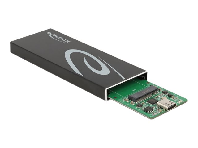 Delock Speichergehäuse - M.2 - M.2 Card / SATA 6Gb/s - USB 3.2 (Gen 2)