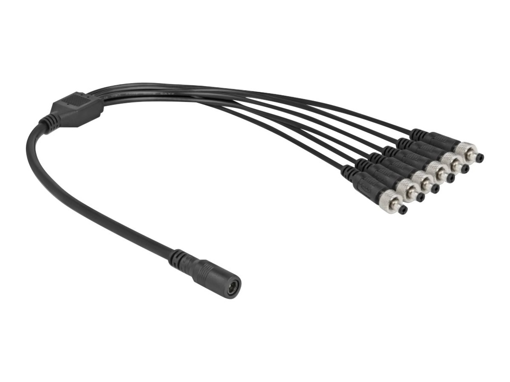 Delock Netz-Splitter - Gleichstromstecker 5,5 x 2,1 mm (W)