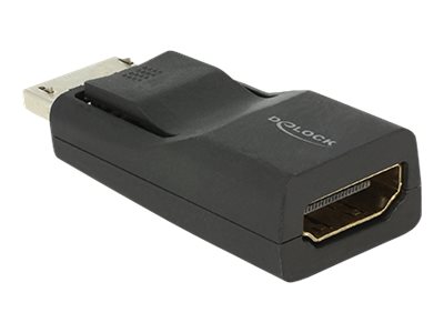Delock Videoadapter - DisplayPort männlich