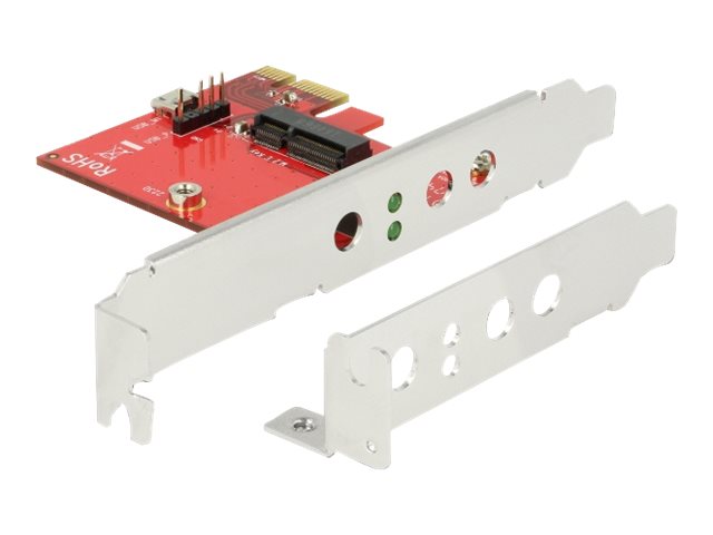 Delock Speicher-Controller - M.2 - M.2 Card