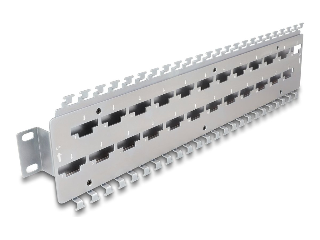 Delock Verlegetafel für Rack-Kabelmanagement - für Netzwerkkabelverbinder mit LSA-Anschluss, Metall - geeignet für Wandmontage - 1U - 48.3 cm (19")