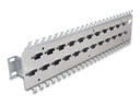 Delock Verlegetafel für Rack-Kabelmanagement - für Netzwerkkabelverbinder mit LSA-Anschluss, Metall - geeignet für Wandmontage - 1U - 48.3 cm (19")