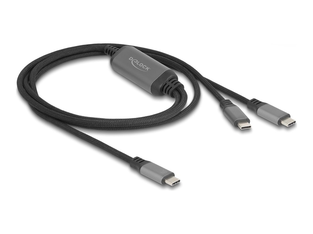 Delock USB-Kabel - 24 pin USB-C (M) zu 24 pin USB-C (M)
