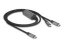 Delock USB-Kabel - 24 pin USB-C (M) zu 24 pin USB-C (M)