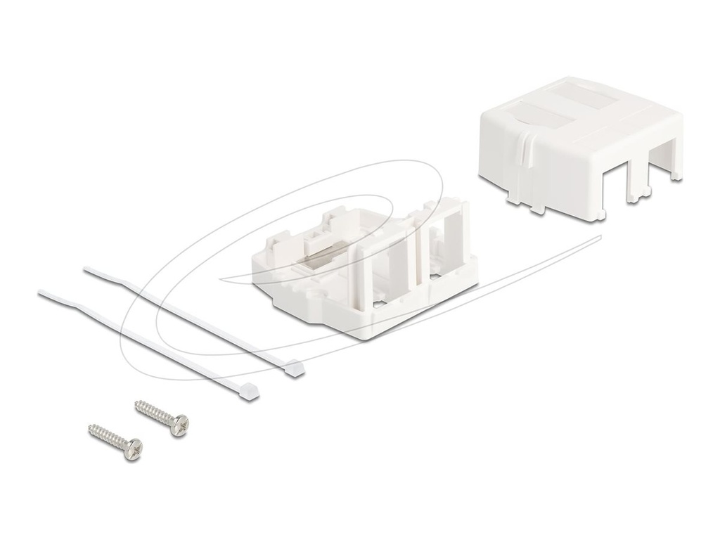 Delock Gehäuse mit modularen Einsätzen - Keystone-Oberfläche montierte Box