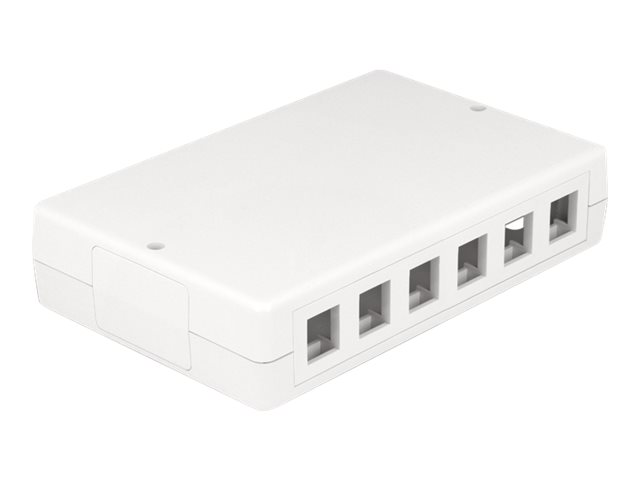 Delock Installationskasten Netzwerkoberfläche