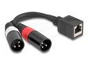 Delock Audio-Adapter - XLR3 männlich zu RJ-45 weiblich