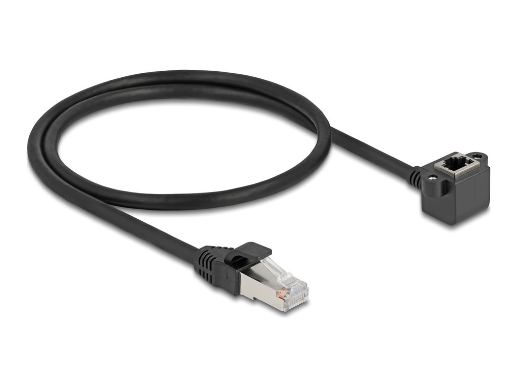 Delock Netzwerkverlängerungskabel - RJ-45 (M)