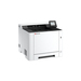 Kyocera Ecosys PA2101cx/Plus - Drucker - Laser/LED-Druck