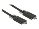 Delock USB-Kabel - USB-C (M) zu USB-C (M)