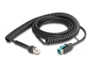 Delock USB-Kabel - USB PlusPower (M) zu RJ-50 (M)