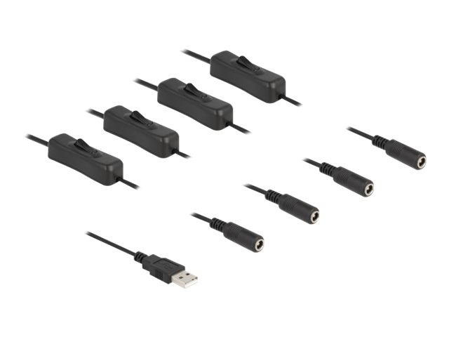 Delock Netz-Splitter - USB (M) zu Gleichstromstecker 5,5 x 2,1 mm (W)