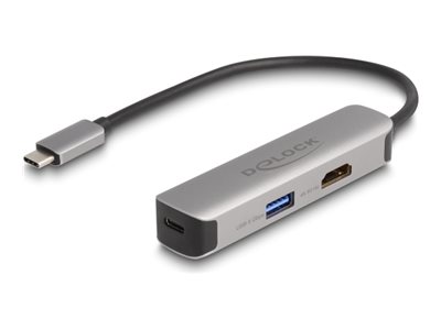 Delock Dockingstation - USB-C / Thunderbolt