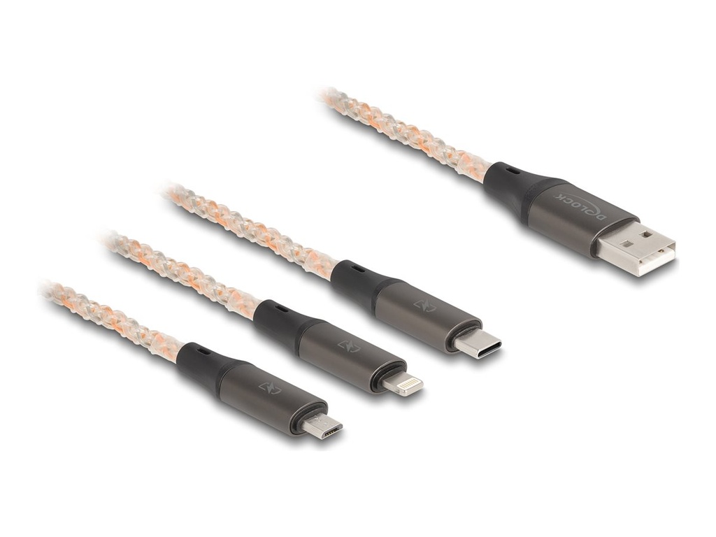 Delock 3 in 1 - Kabel nur zum Laden - USB männlich