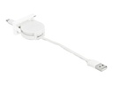 Delock Lightning-Kabel - USB männlich zu Lightning