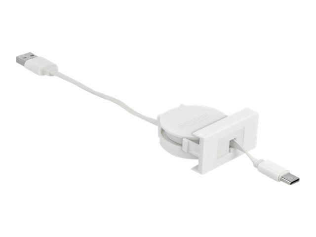 Delock USB-Kabel - USB (M) zu USB-C (M) - USB