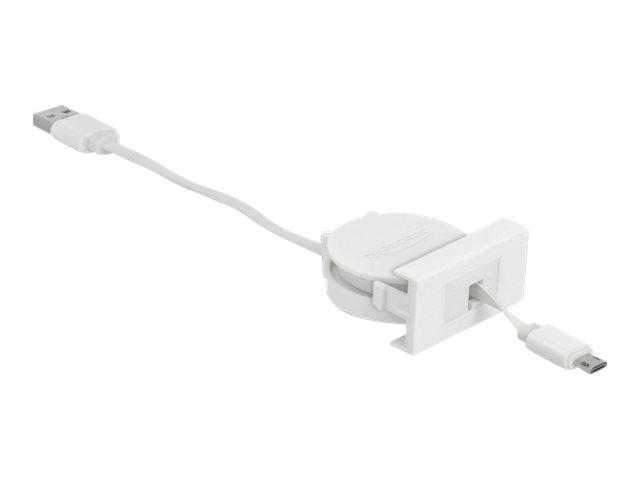 Delock USB-Kabel - USB (M) zu Micro-USB Typ B (M)